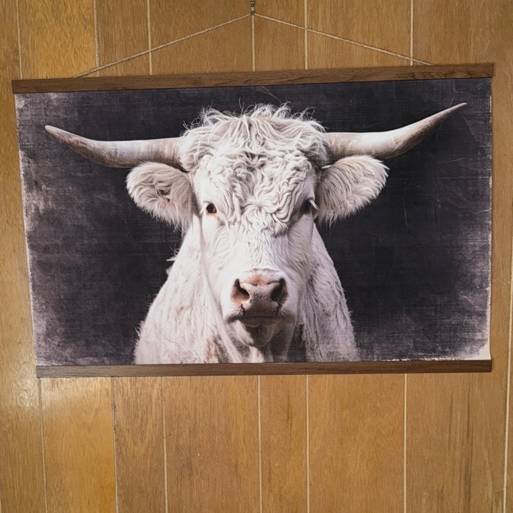 Rustic White Bull Wall Art